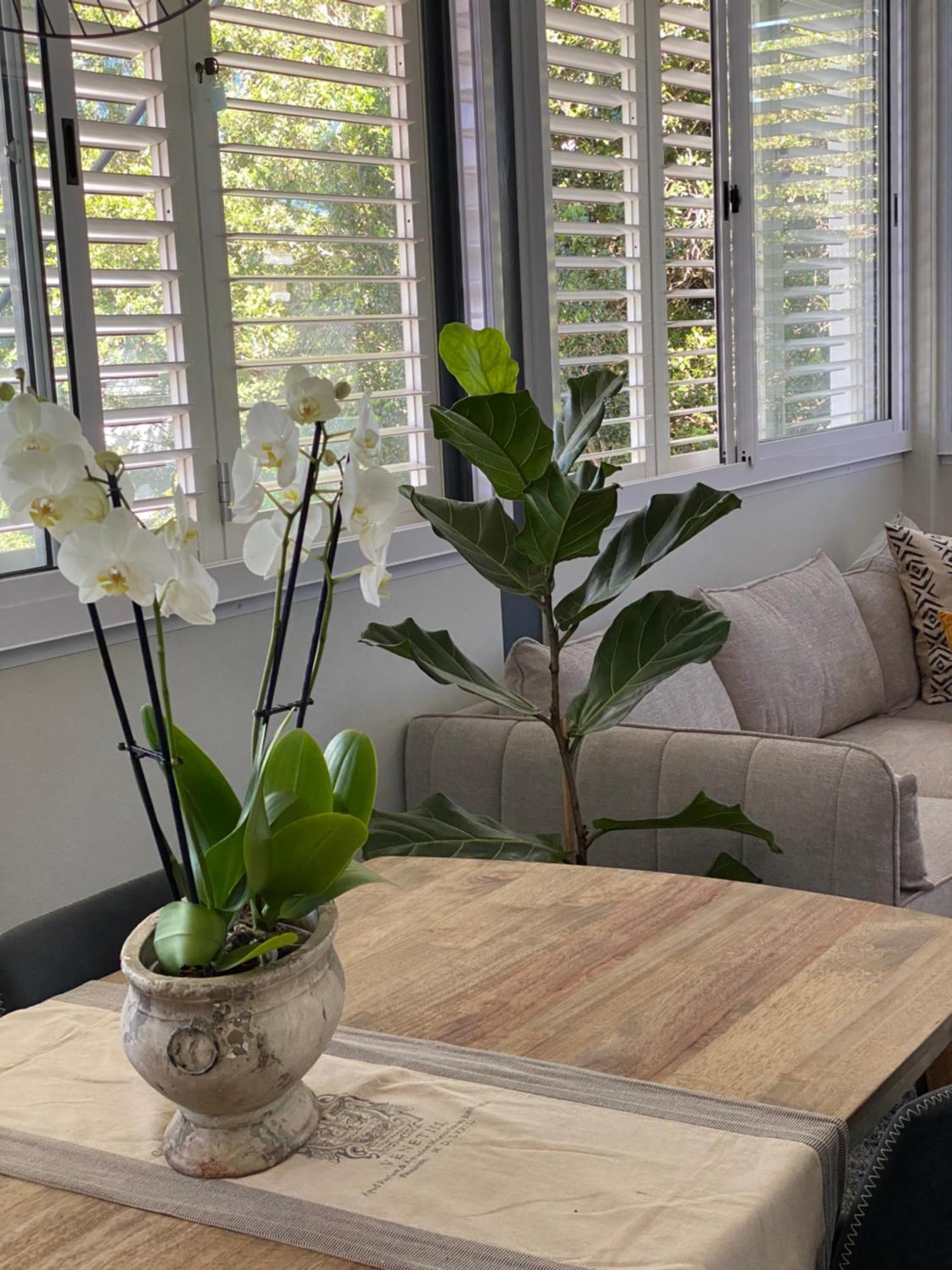The Oak Suite - 7 On Murray Historic Stellenbosch Exteriör bild